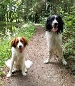 Idax vom Torfmoorsee